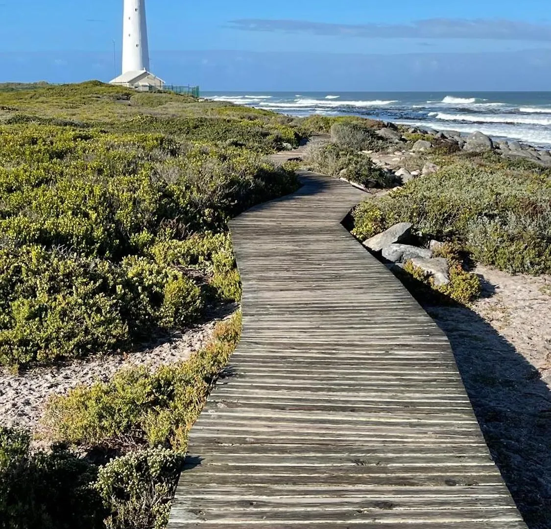 Gypsy Wagons - Surf And Yoga- Kommetjie,Cape Town Hotel Luxury tent